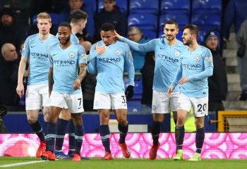 EPL: Manchester City back on top after 2-0 win over Everton