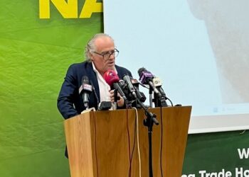 ‘Ghanaians talk too much’ – GFA technical director Bernhard Lippert