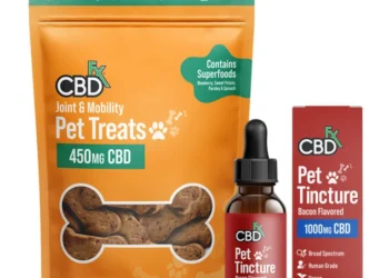 7 Factors To Consider While Buying CBD For Dogs Online