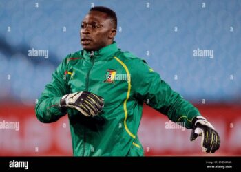 Idris Carlos Kameni: “Cameroon failed in the 2002 FIFA World Cup due to poor organization”